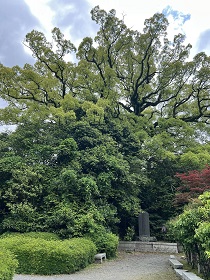 活動報告写真